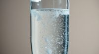 bottled water microplastic contamination