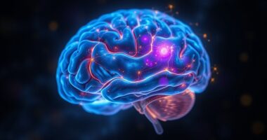 brain activity near death