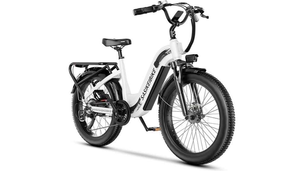 high powered electric bike