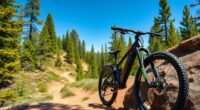 top electric mountain bikes