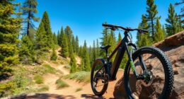 top electric mountain bikes