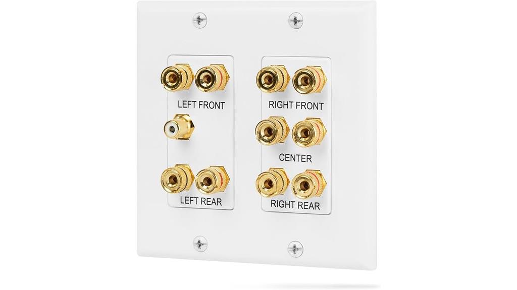two gang surround sound plate