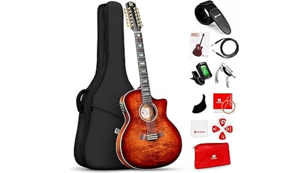 12 string acoustic electric guitar