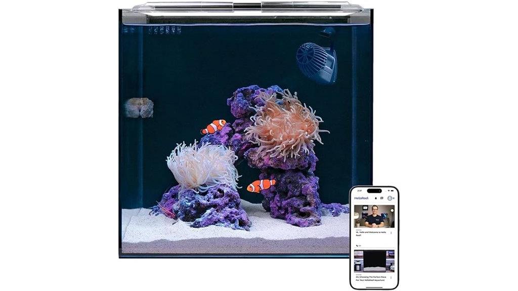 15 gallon clownfish aquarium kit