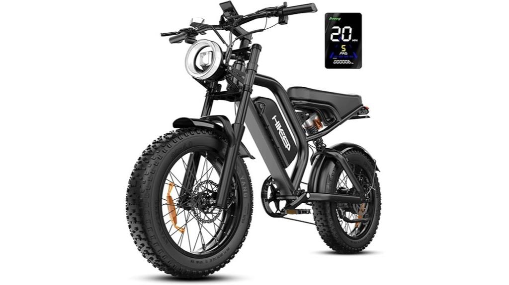 adult electric fat bike