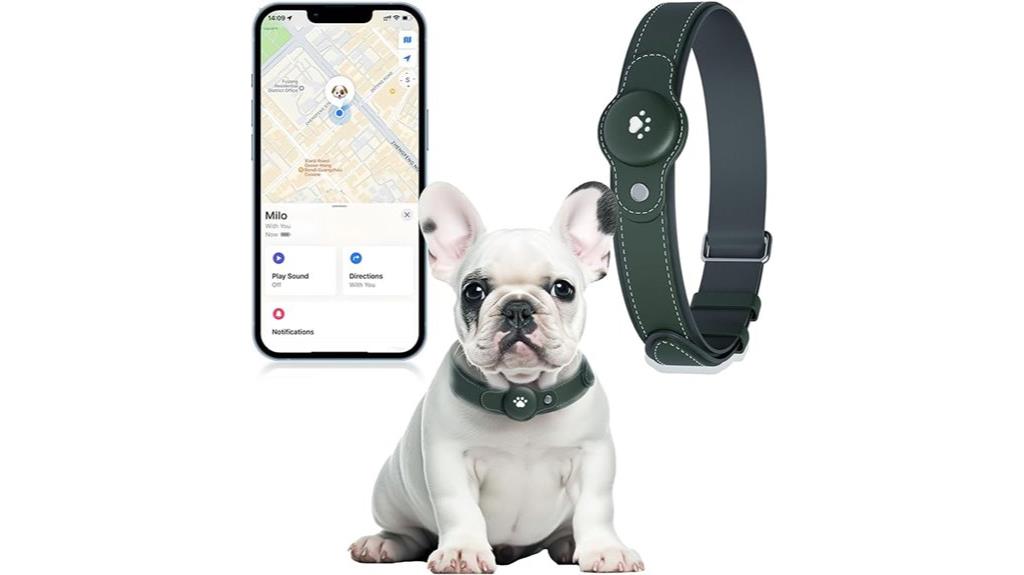 dog gps with real time tracking