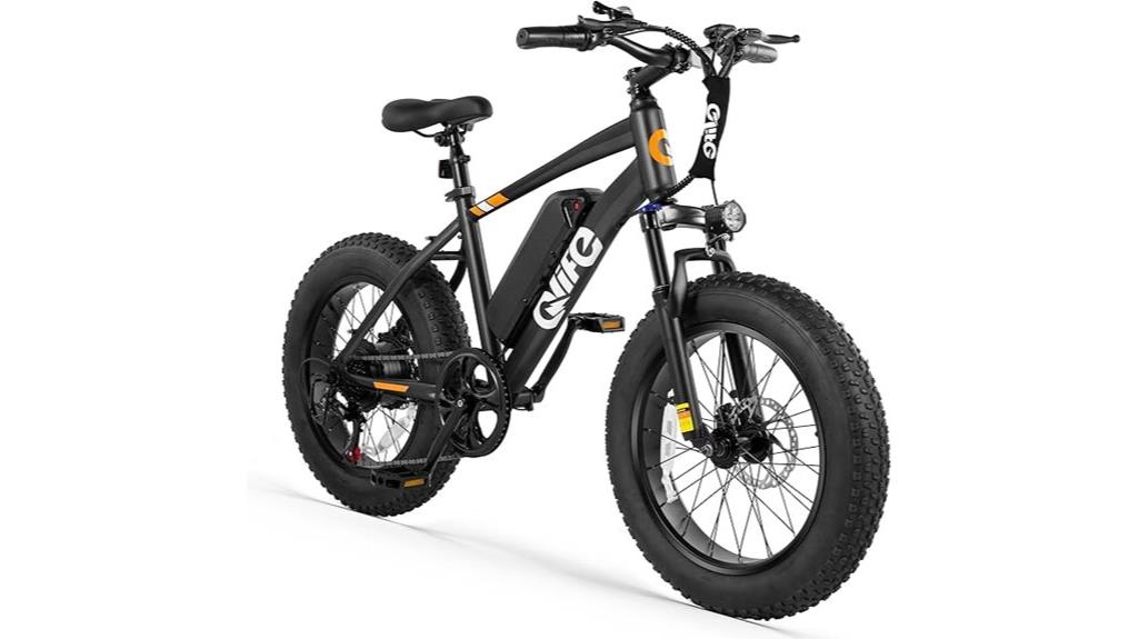 fat tire electric bike