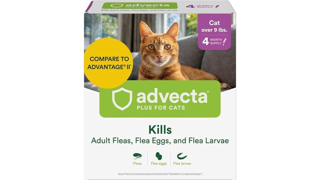 four month feline flea prevention