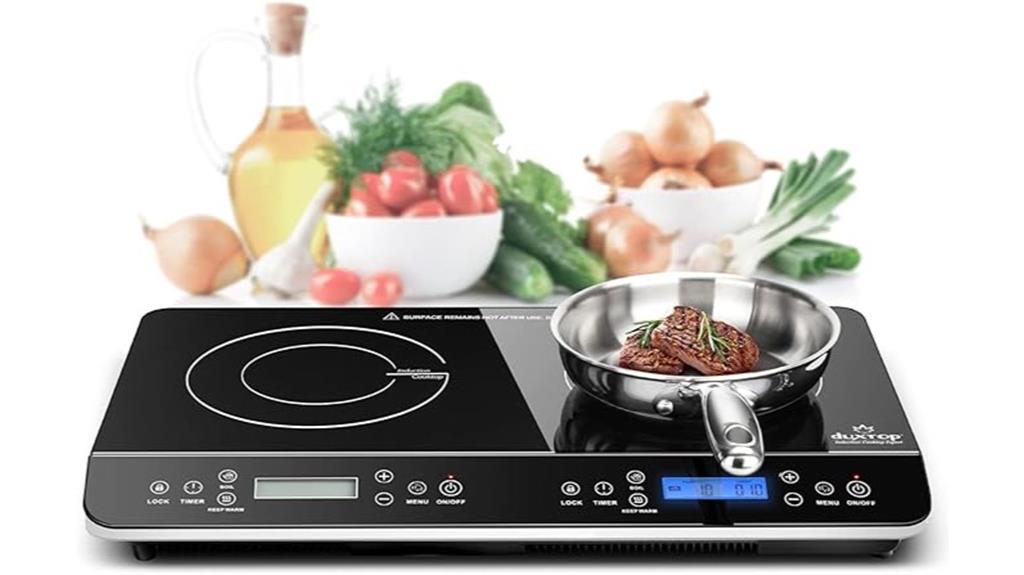 portable double induction cooker