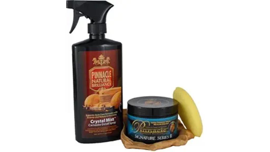 premium automotive detailing set