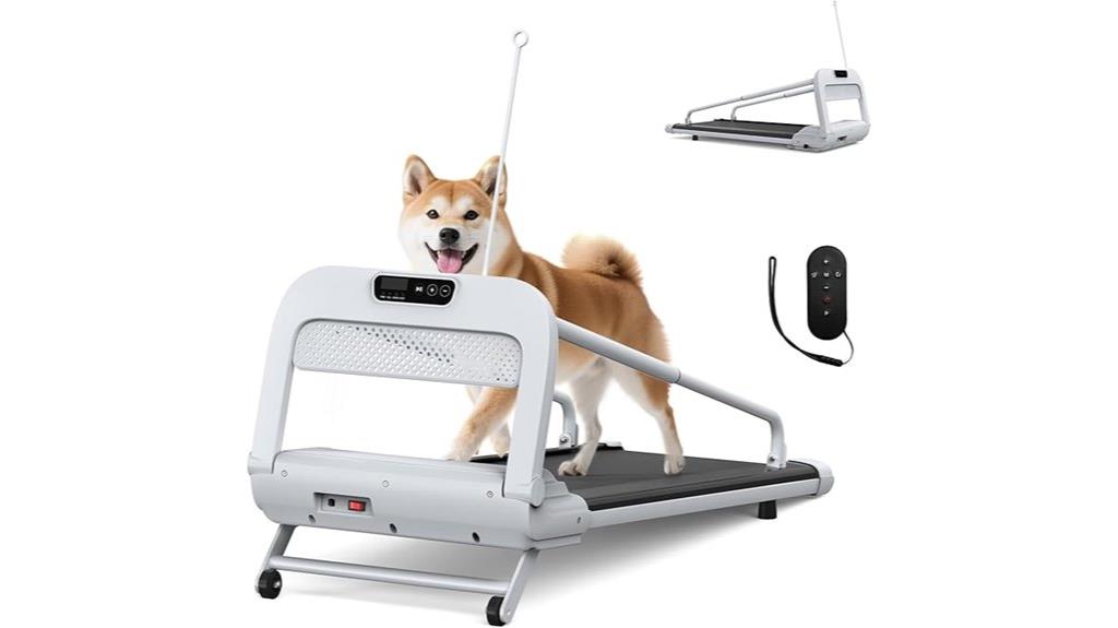silent small dog treadmill