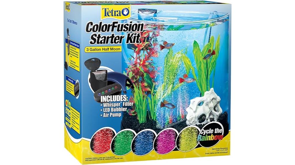 small tetra fish aquarium