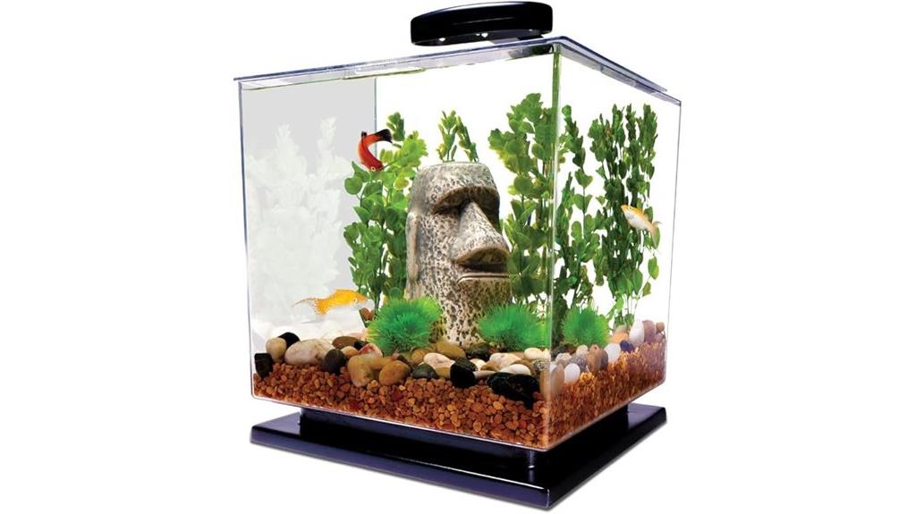 three gallon fish tank kit
