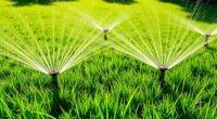 top lawn sprinkler picks