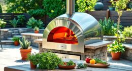 top outdoor pizza ovens