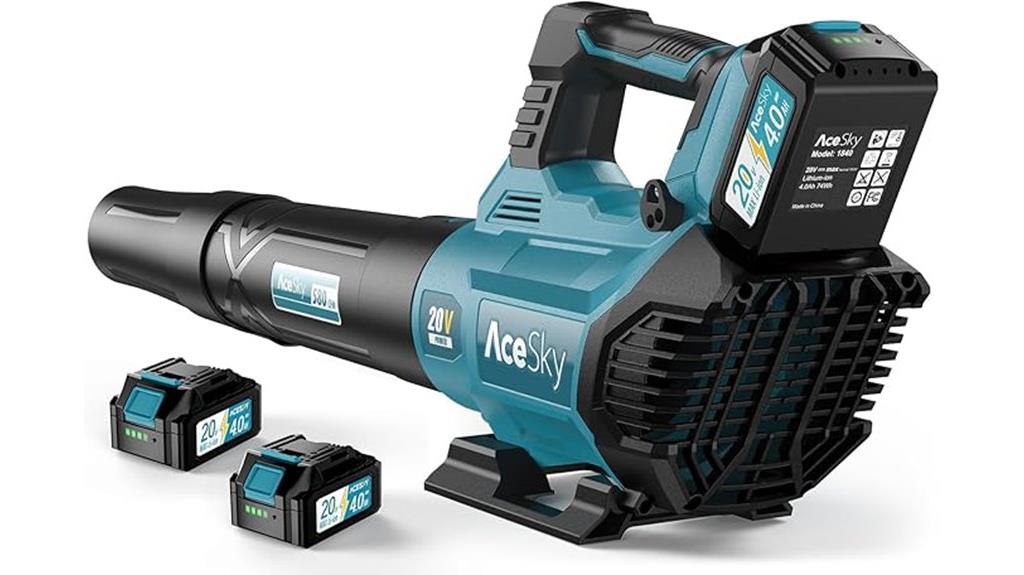 wireless leaf blower package
