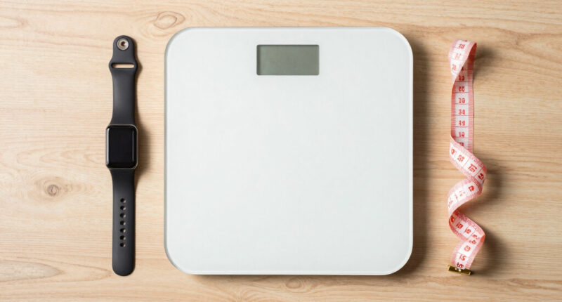 10 Best Body Composition Scales in 2026 — Accurate Metrics for Fitness Enthusiasts