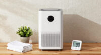 10 Best Dehumidifier for Mold Prevention in 2026