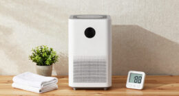 10 Best Dehumidifier for Mold Prevention in 2026