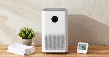 10 Best Dehumidifier for Mold Prevention in 2026