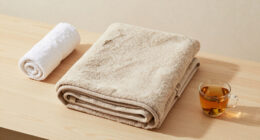 10 Best Sauna Blanket for Beginners in 2026
