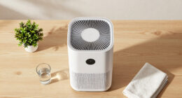 11 Best Air Purifier Dehumidifier Combo in 2026
