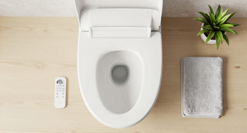 11 Best Best Bidet Toilet Seat With Remote in 2026