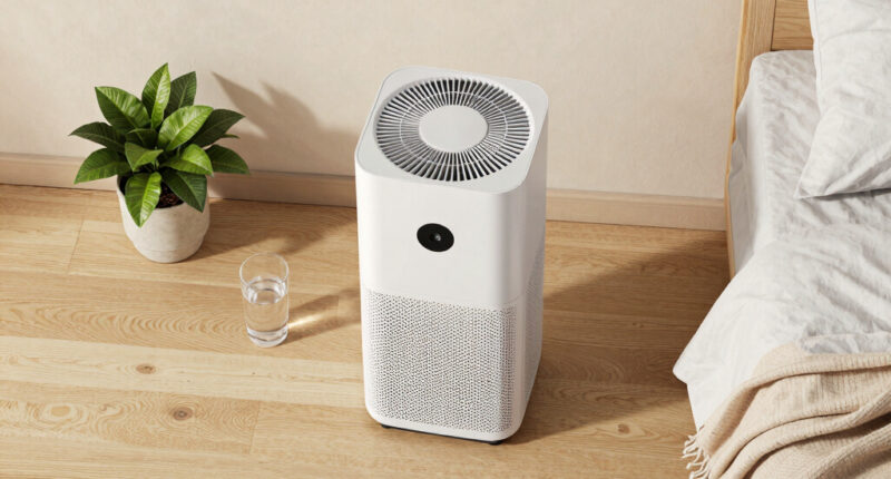 11 Best Quiet Air Purifier For Bedroom In 2026