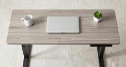 12 Best Adjustable Standing Desk in 2026