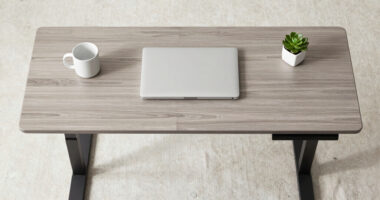 12 Best Adjustable Standing Desk in 2026