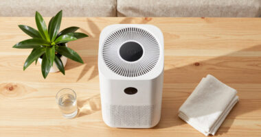 12 Best Air Purifier For Whole House In 2026 — The Complete Buyer’s Guide