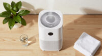 12 Best Air Purifier Humidifier Combo for Large Room in 2026