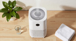 12 Best Air Purifier Humidifier Combo for Large Room in 2026