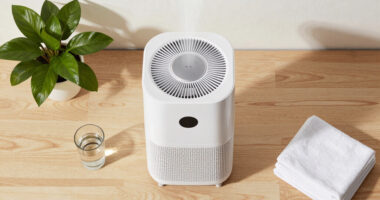 12 Best Air Purifier Humidifier Combo for Large Room in 2026