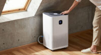 12 Best Dehumidifier for Basement in 2026