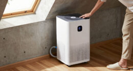 12 Best Dehumidifier for Basement in 2026