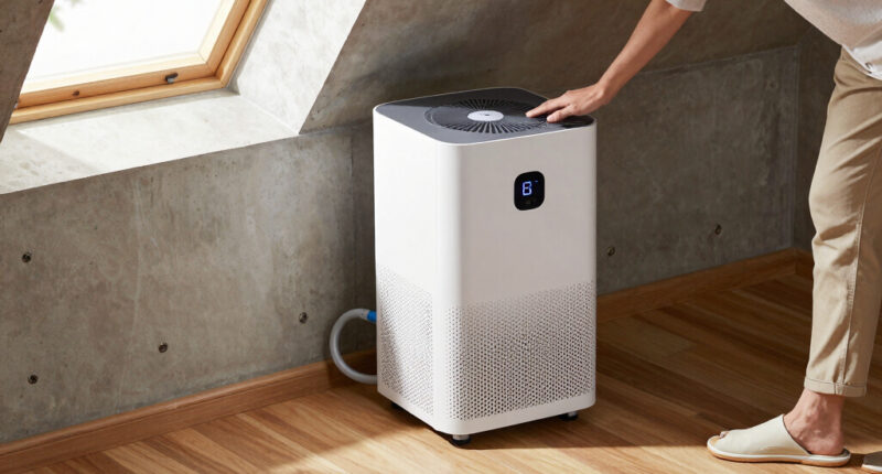 12 Best Dehumidifier for Basement in 2026