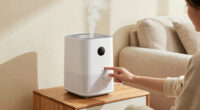 13 Best 2 In 1 Air Purifier And Humidifier In 2026