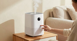 13 Best 2 In 1 Air Purifier And Humidifier In 2026
