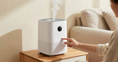13 Best 2 In 1 Air Purifier And Humidifier In 2026