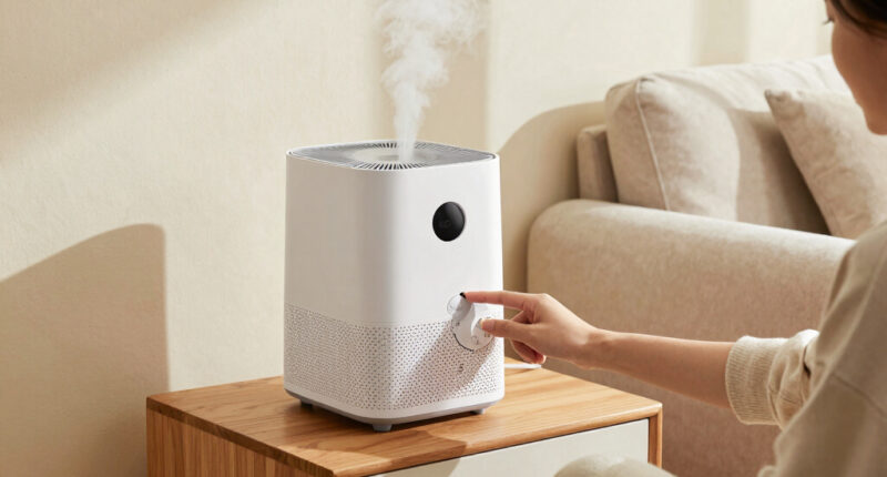13 Best 2 In 1 Air Purifier And Humidifier In 2026