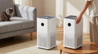 13 Best Air Purifier For Pet Hair in 2026