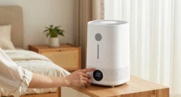 13 Best Air Purifier Humidifier Combo Under 500 in 2026