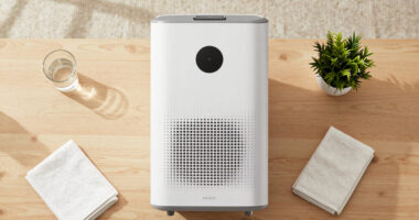 13 Best Large Room Dehumidifier in 2026 — Powerful Solutions for Big Spaces