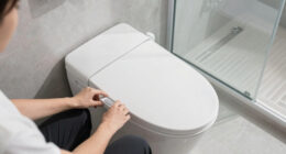 14 Best Best Bidet Toilet Seat With Dryer in 2026
