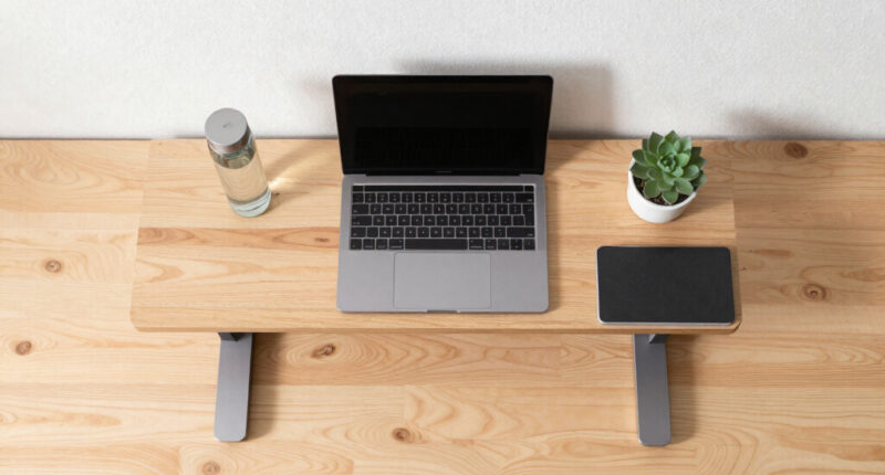 14 Best Best Electric Standing Desk in 2026