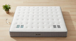 14 Best Mattress Cooling System in 2026