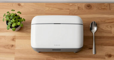 15 Best Best Odorless Electric Composter in 2026