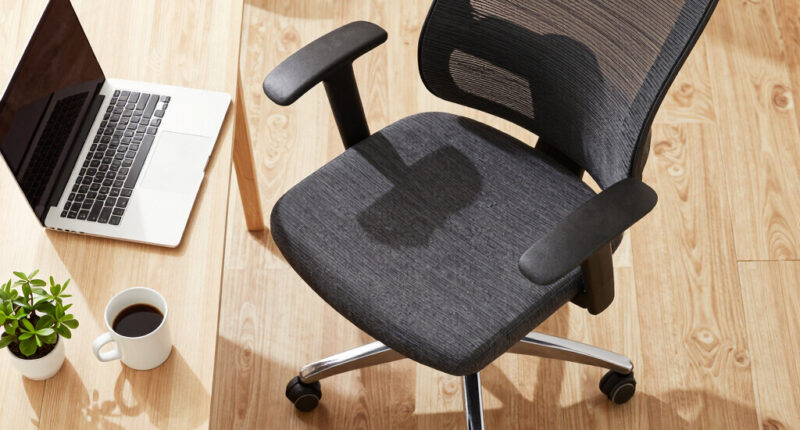 15 Best Ergonomic Chair For Home Office in 2026