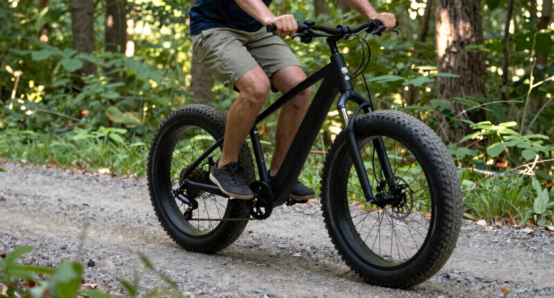 6 Best Fat Tire Electric Bikes in 2026 — Power, Range, and Off-Road Performance